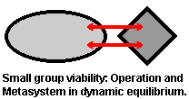 Small group viability: Operation and Metasystem in
               dynamic balance