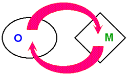 Operation-Metasystem dynamic balance