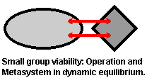 Small group viability: Operation and Metasystem in dynamic balance
