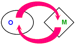 Operation-Metasystem dynamic balance